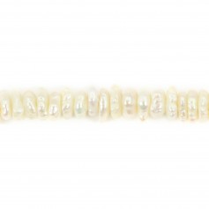 Perla coltivata d'acqua dolce, bianca, keshi roundel, 4-5 mm x 41 cm