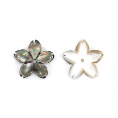 Grey mother of pearl flower with 5 petals 15mm x 1pc