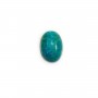 Cabochon chrysocolle oval 10x14mm x 1pc