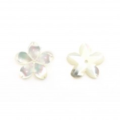 Mother of Pearl White Flower 5 Leaves Y 12mm x 1pc