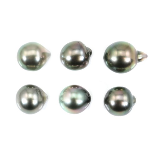 Perla di coltura di Tahiti, semitonda, 9-9,5 mm x 6 pezzi