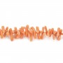 Corail orange Naturel baroque tube x 50cm