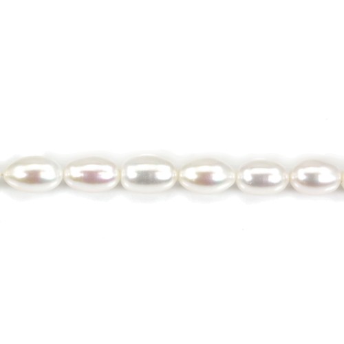 Perles de culture d'eau douce, blanche, olive, 8mm x 38cm
