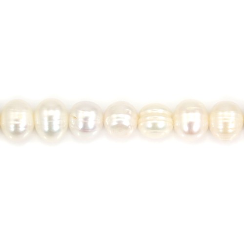 Perles de culture d'eau douce, blanche, ovale, 8-9mm x 39cm