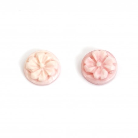 Cabochon Cameo Pink Conch round flower 8mm x 1pc
