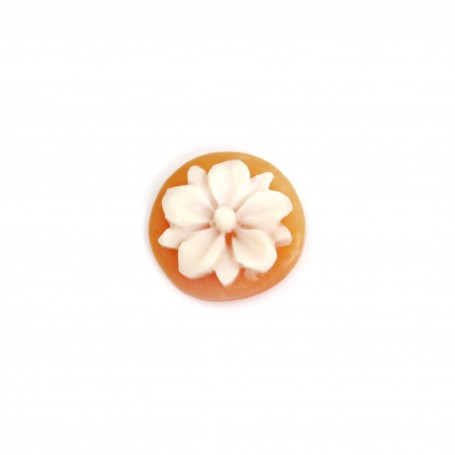Cabochon Cameo Conch carnelian round flower 14mm x 1pc