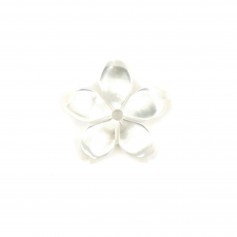 Fiore bianco di madreperla 5 petali 10mm x 1pc
