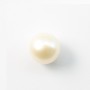 Perle de culture d'eau douce, semi-percée, blanche, ronde, 11-12mm x 1pc